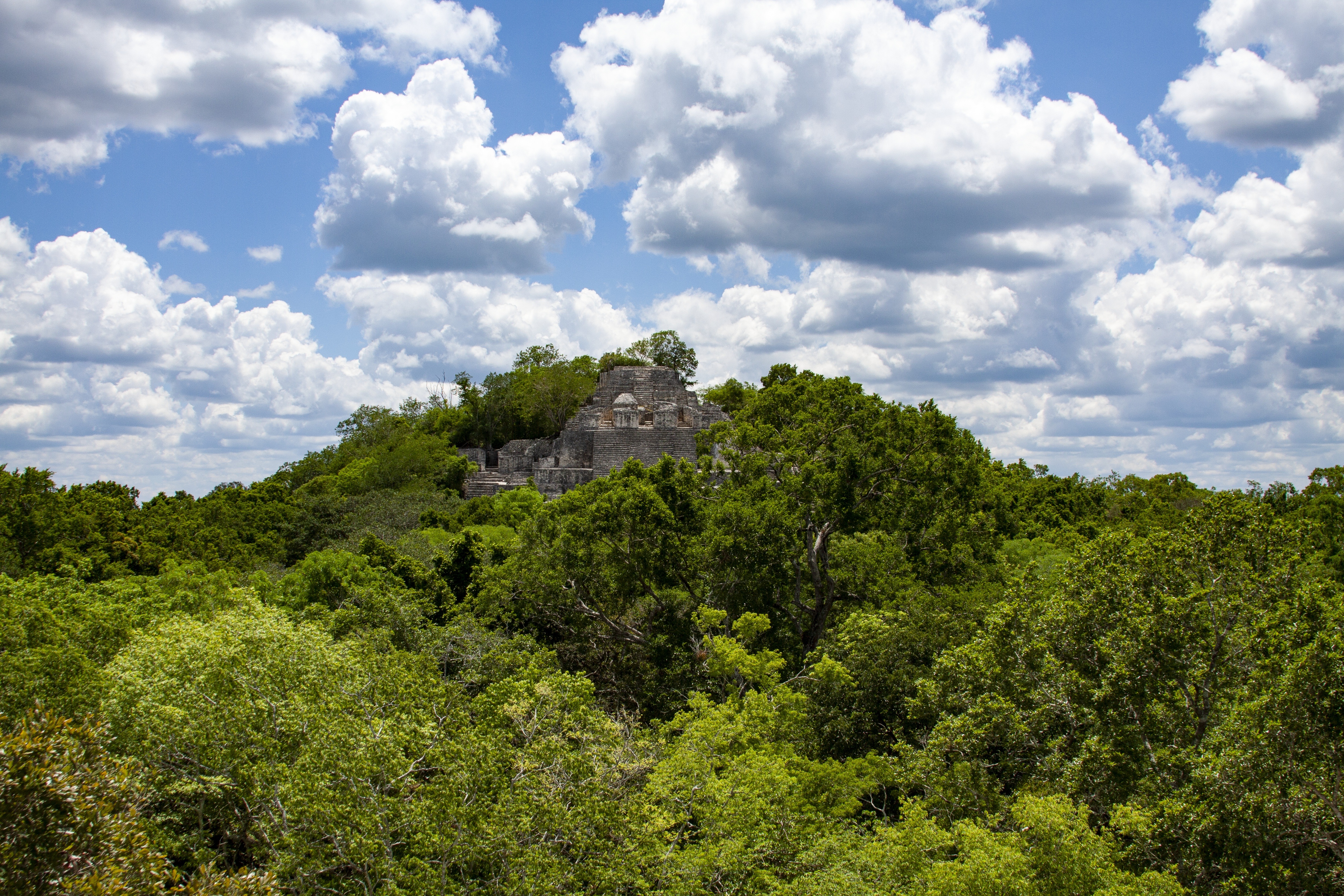 ruins of calakmul 3921773