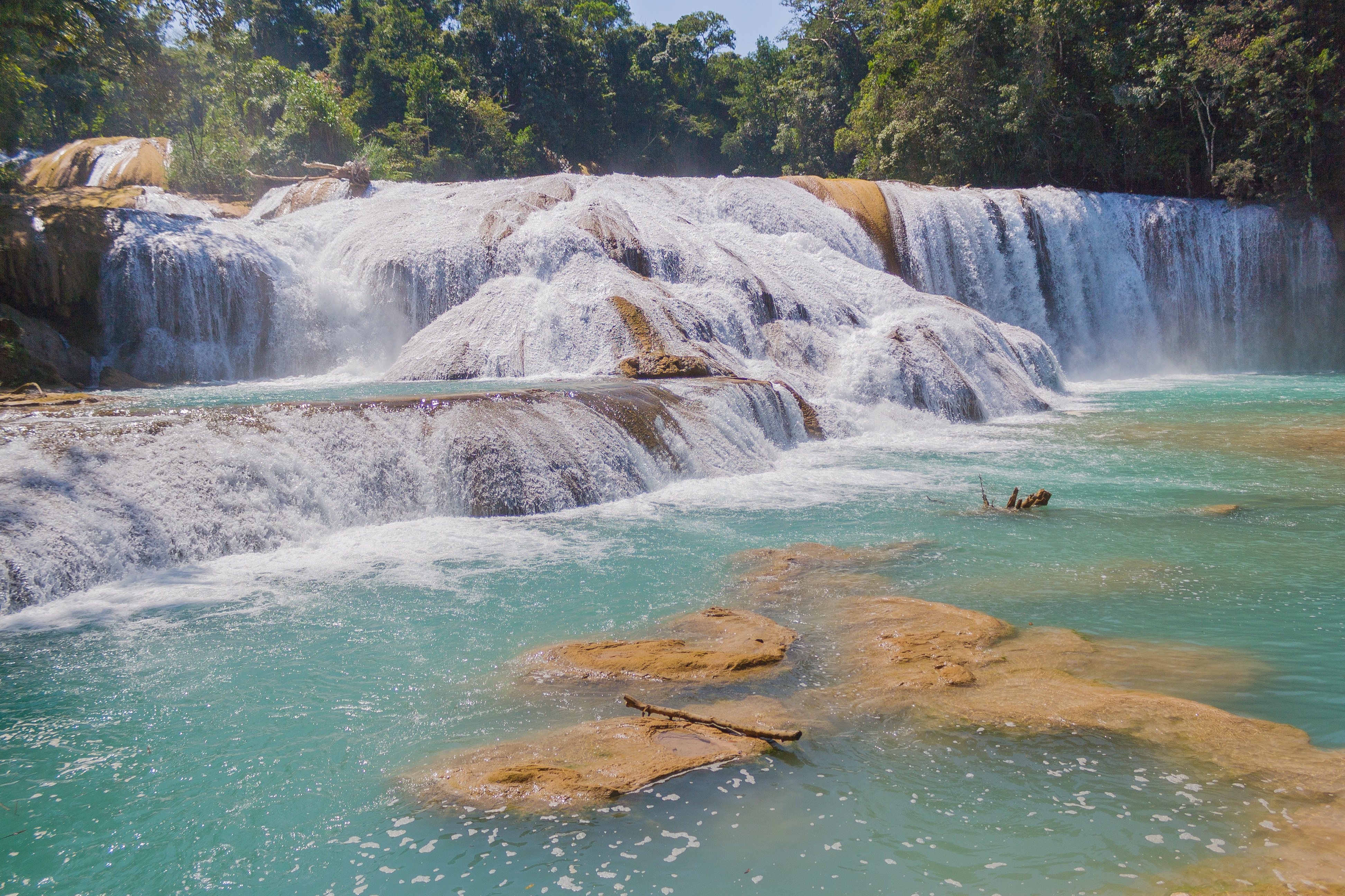 chiapas 3655145